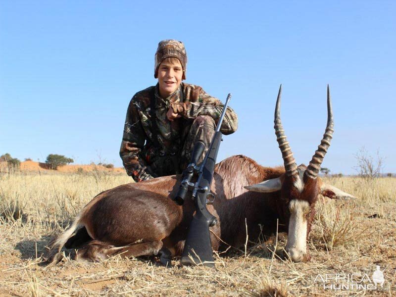 Namibia Hunting Blesbok