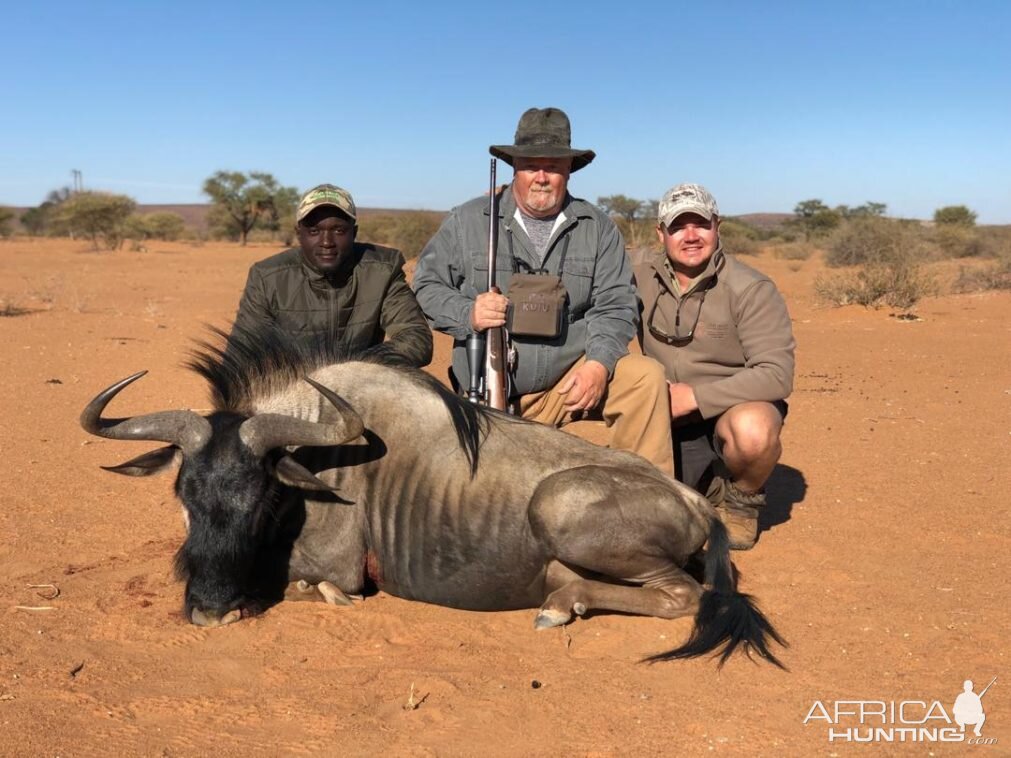 Namibia Hunting Blue Wildebeest