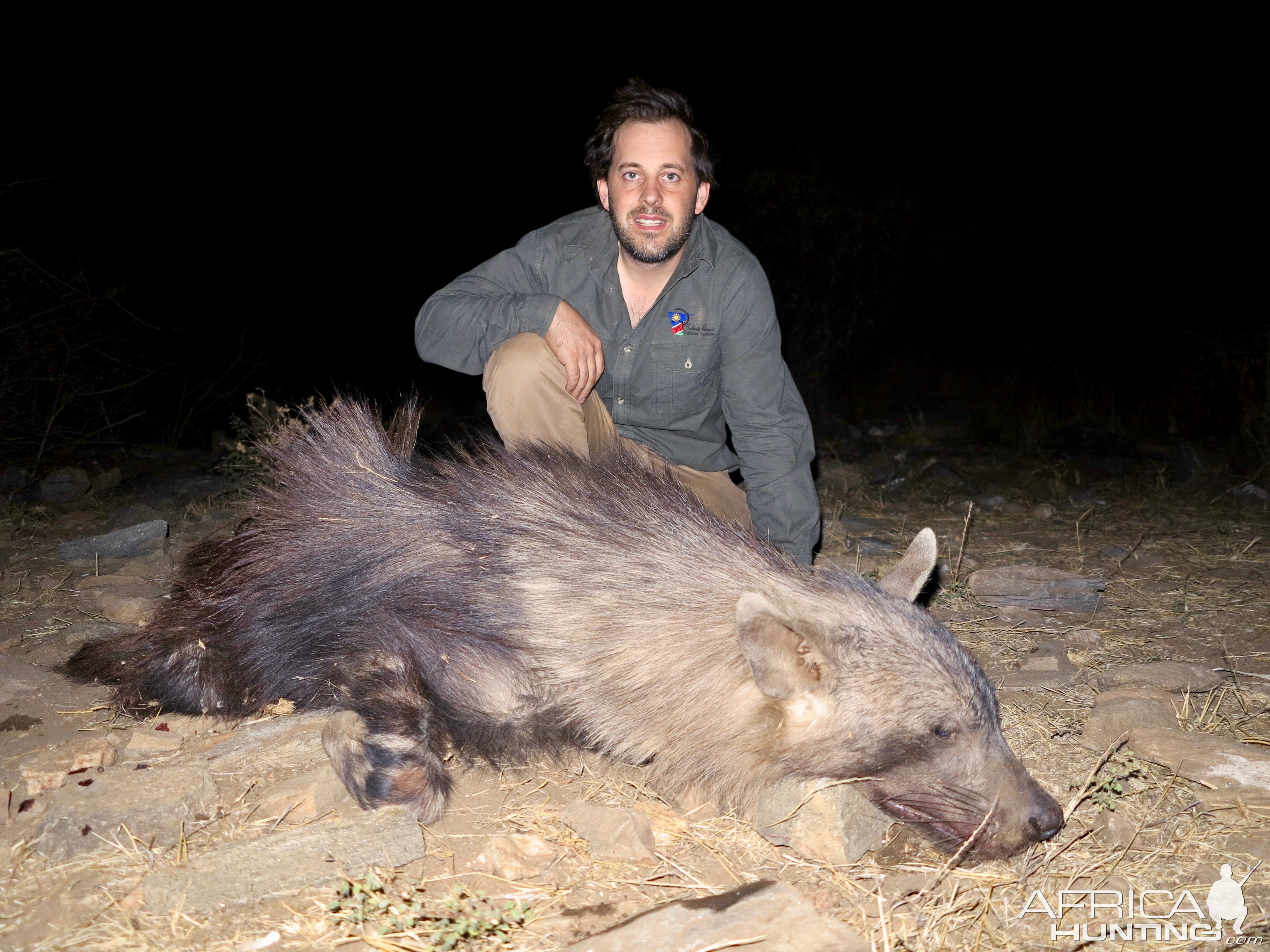 Namibia Hunting Brown Hyena