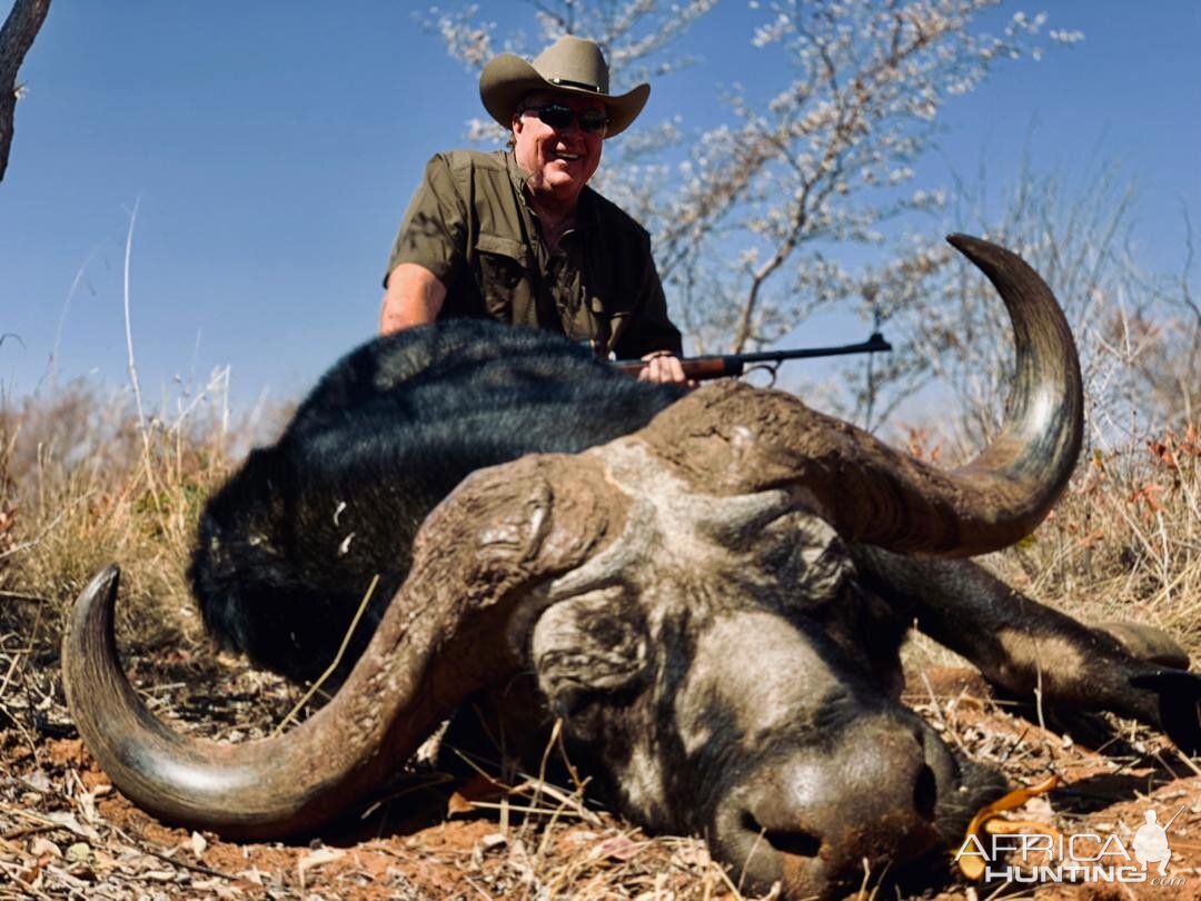 Namibia Hunting Buffalo