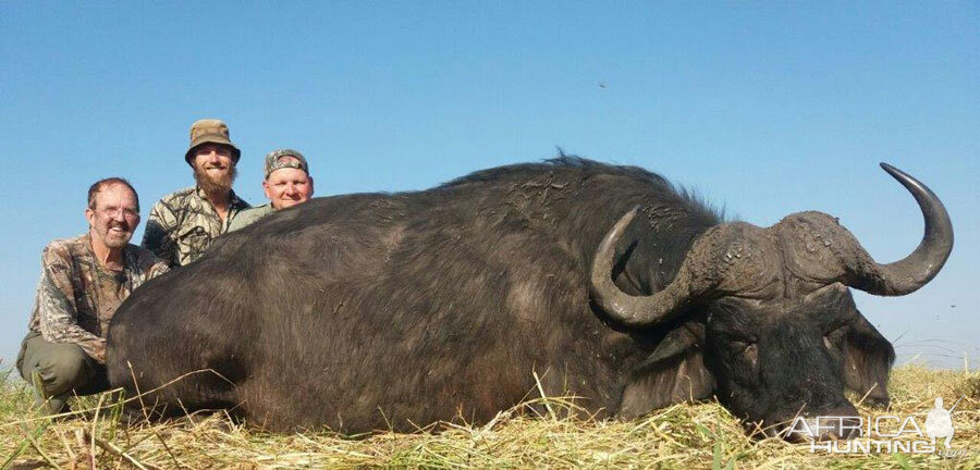 Namibia Hunting Buffalo