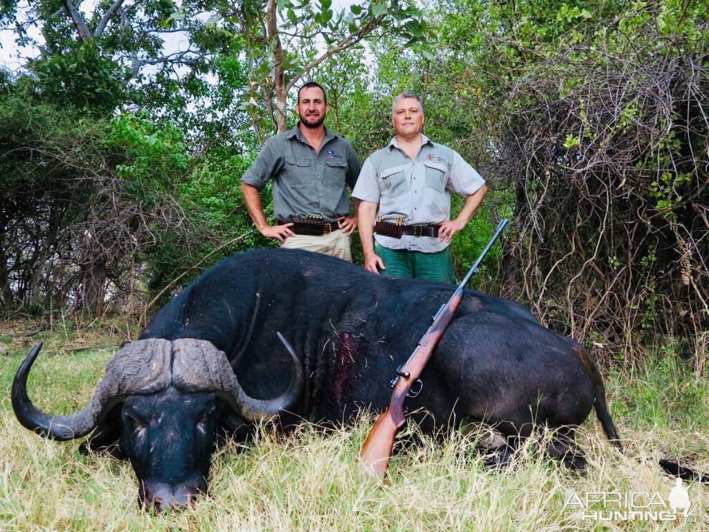 Namibia Hunting Cape Buffalo