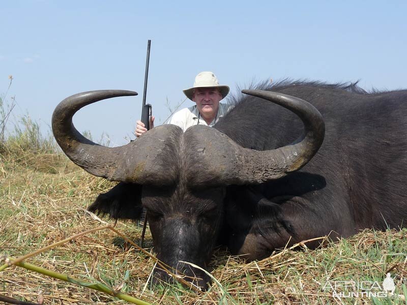 Namibia Hunting Cape Buffalo