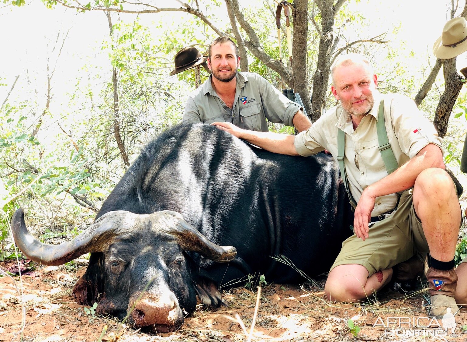 Namibia Hunting Cape Buffalo