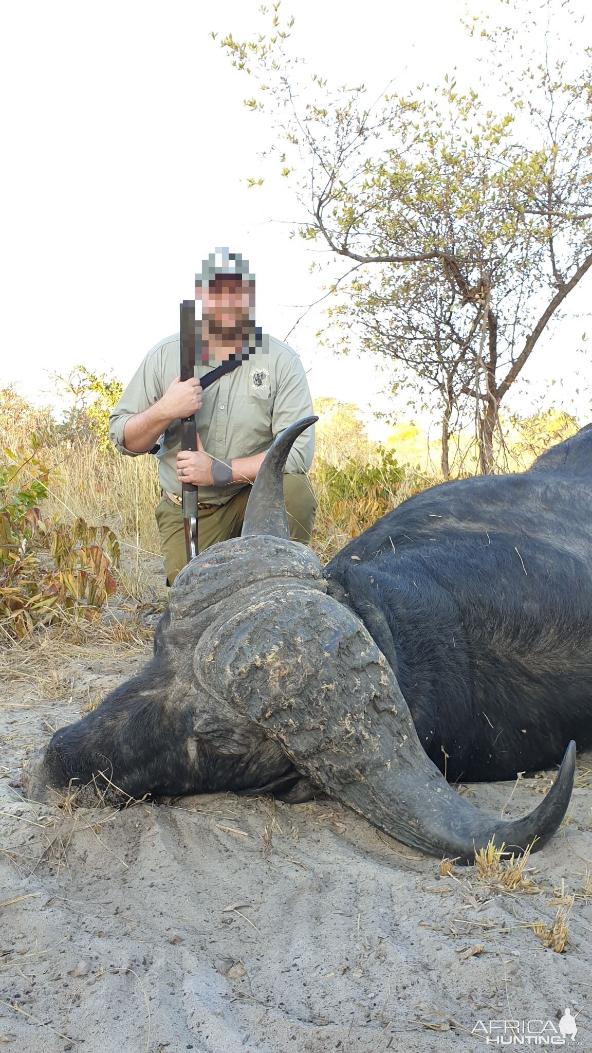 Namibia Hunting Cape Buffalo