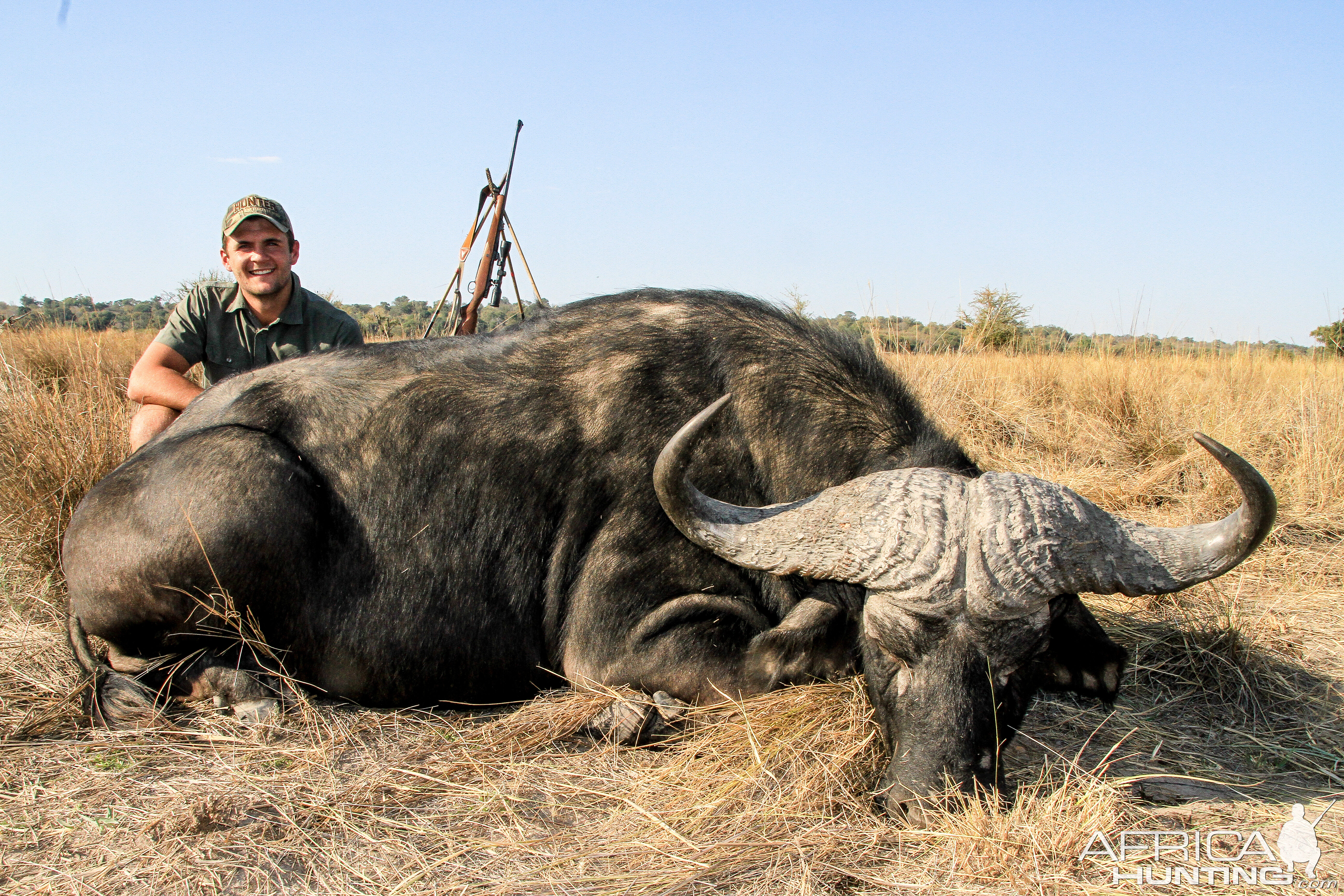 Namibia Hunting Cape Buffalo