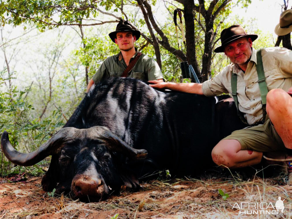 Namibia Hunting Cape Buffalo