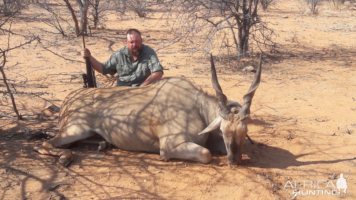 Namibia Hunting Cape Eland