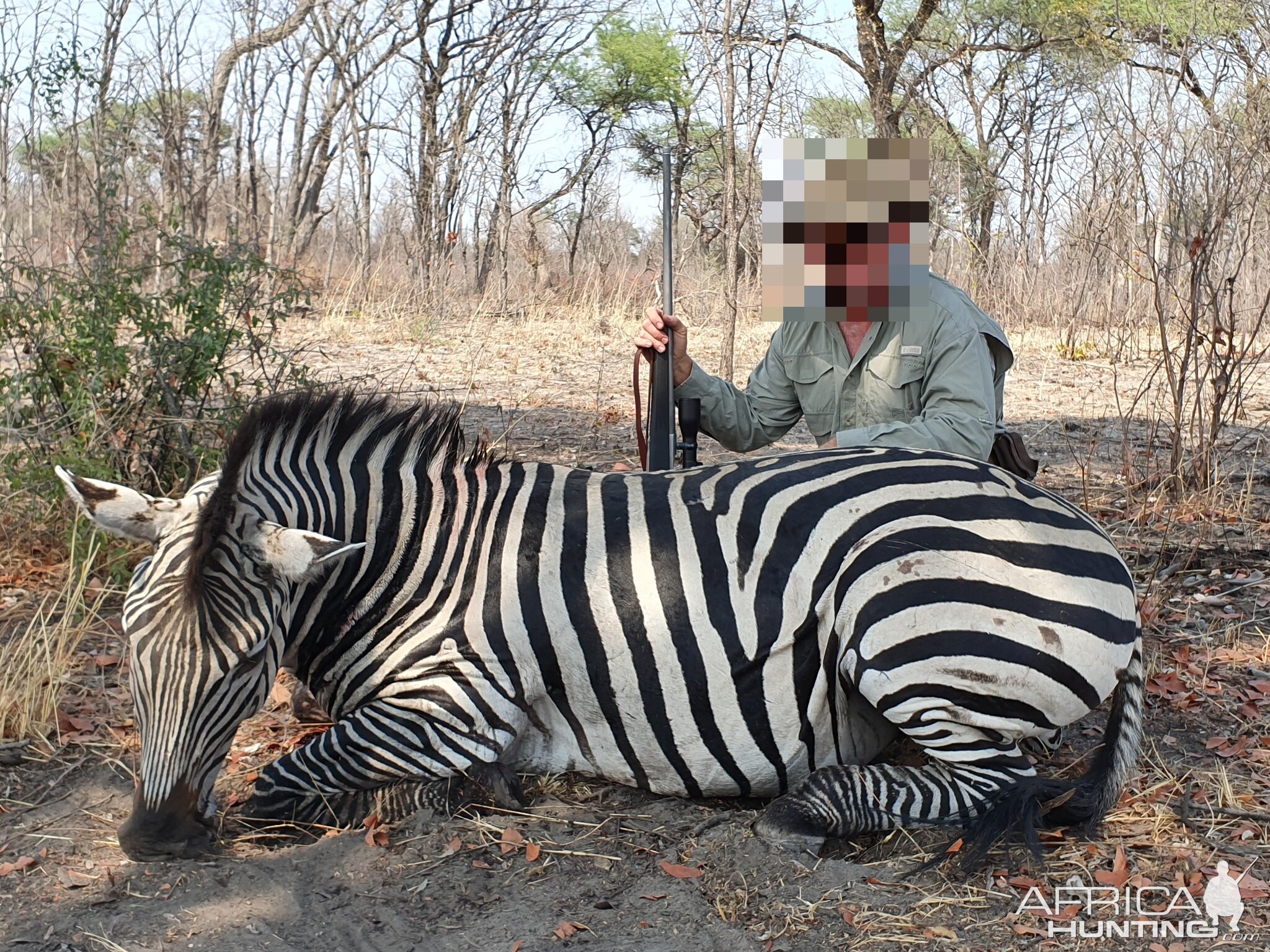 Namibia Hunting Chapman's Zebra