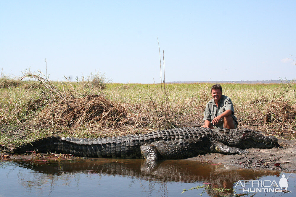 Namibia Hunting Crocodile