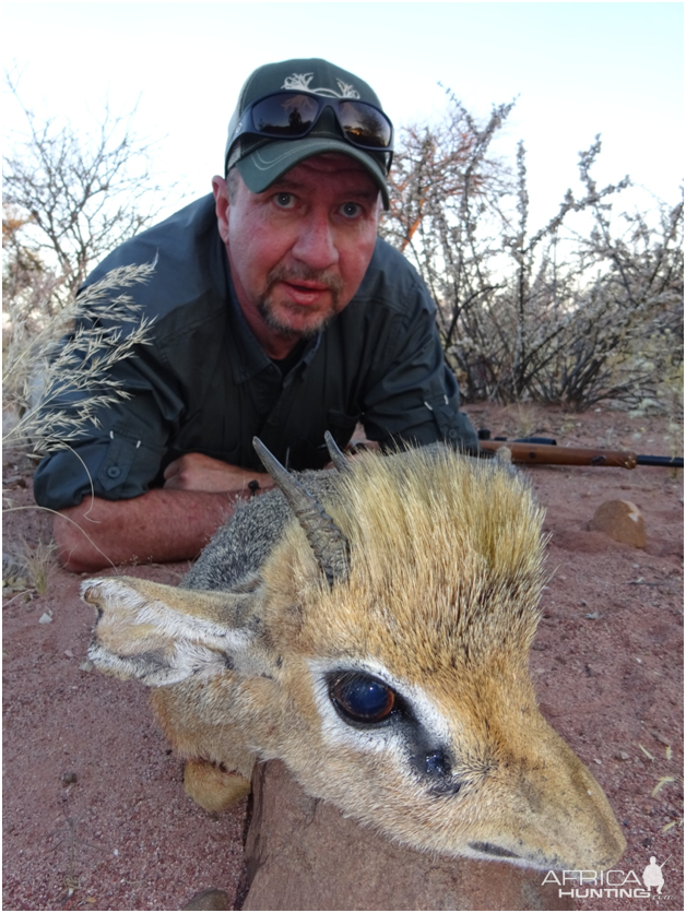 Namibia Hunting Damara Dik Dik