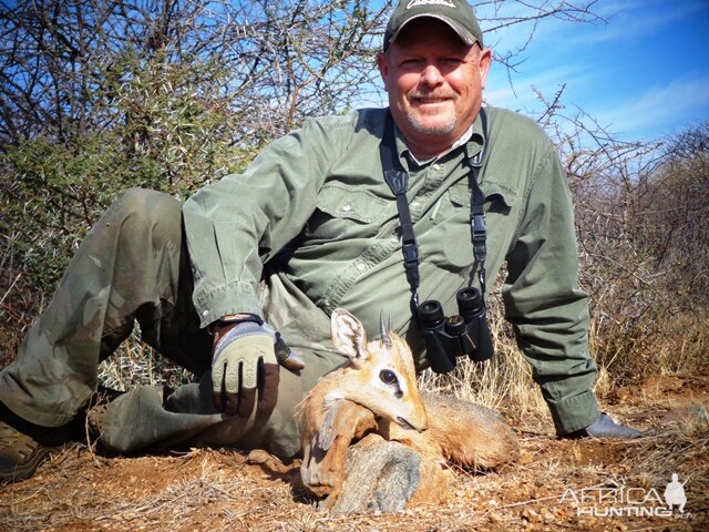 Namibia Hunting Damara Dik Dik