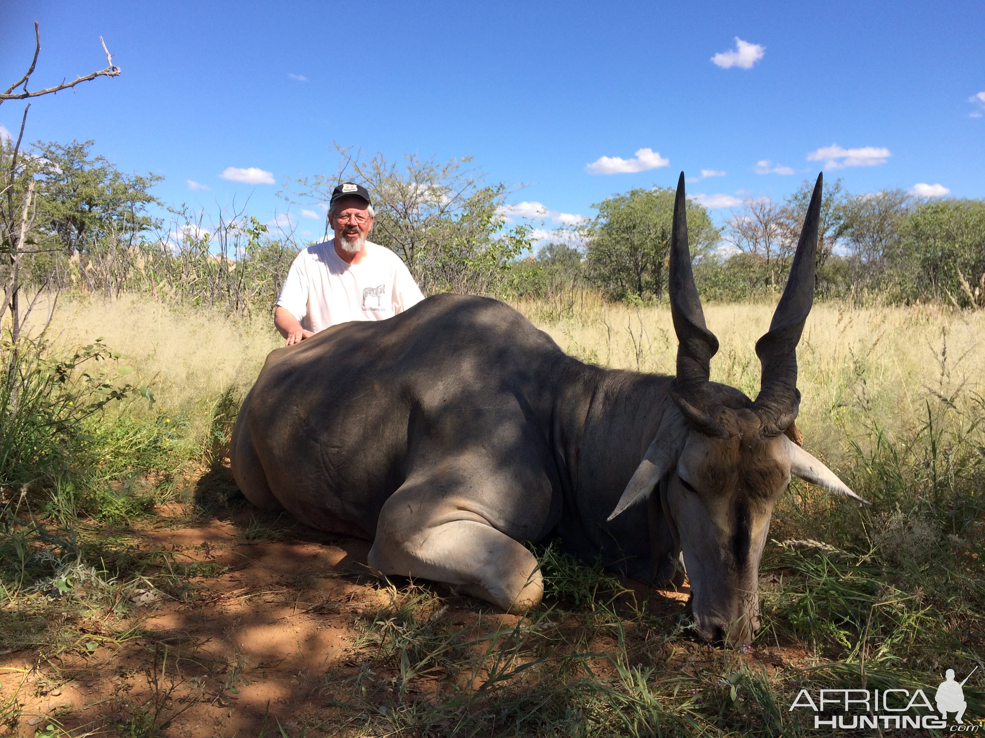 Namibia Hunting Eland