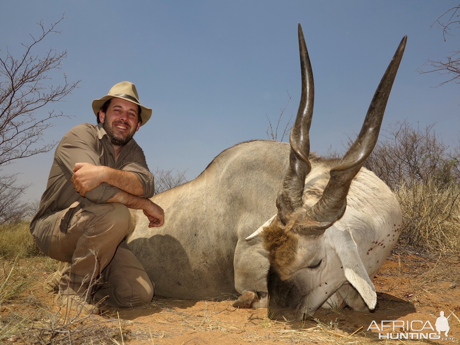 Namibia Hunting Eland