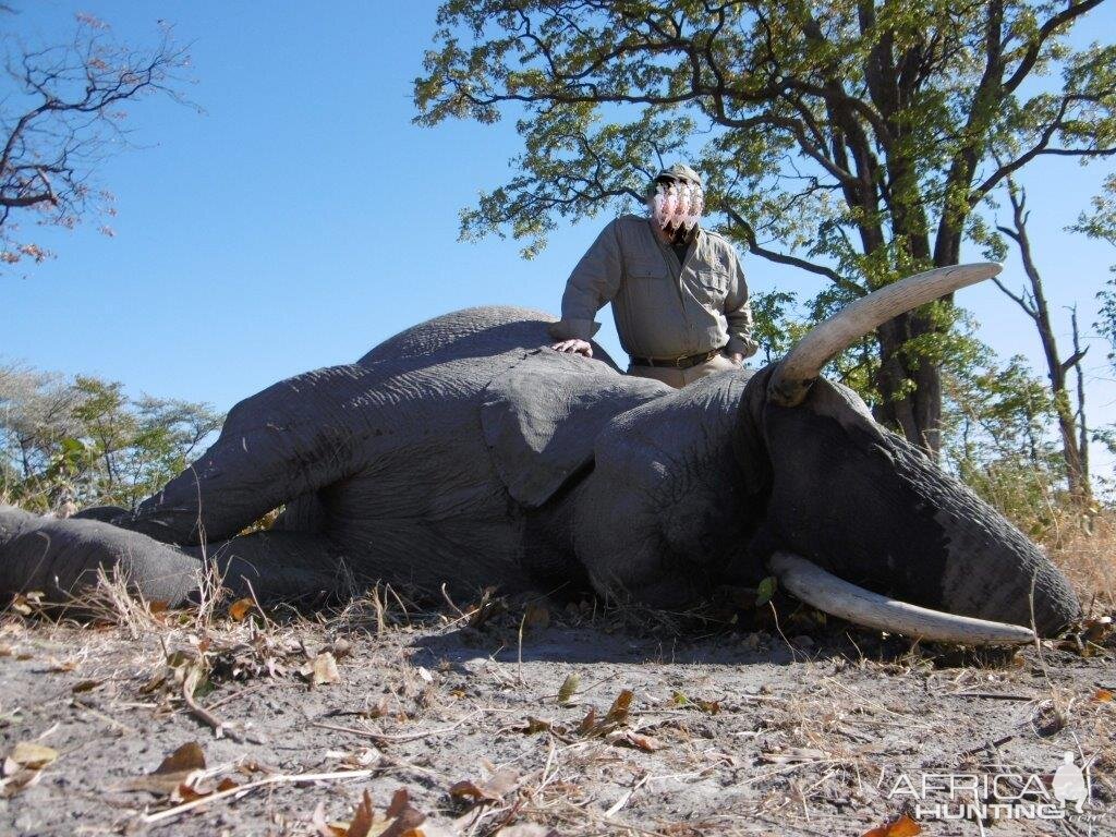 Namibia Hunting Elephant