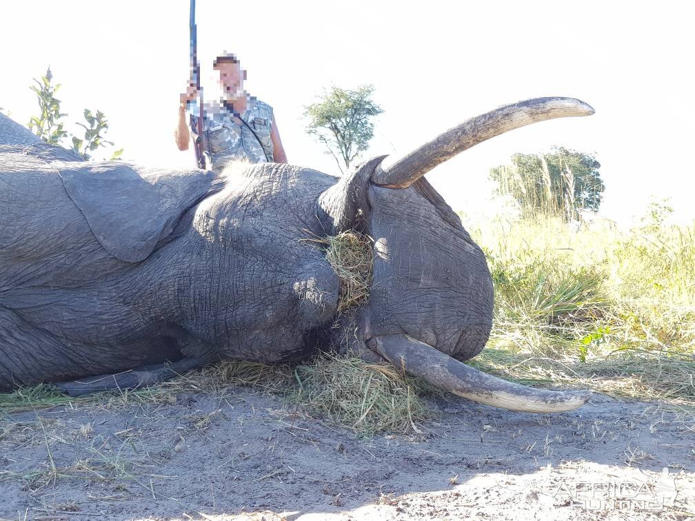 Namibia Hunting Elephant