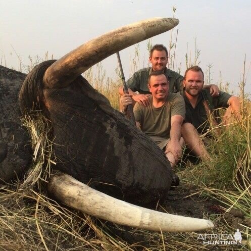 Namibia Hunting Elephant