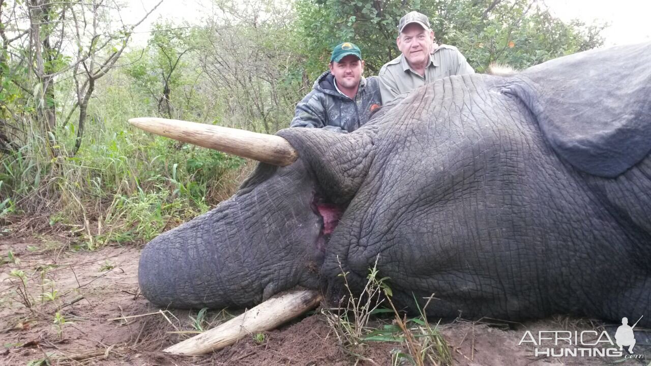 Namibia Hunting Elephant