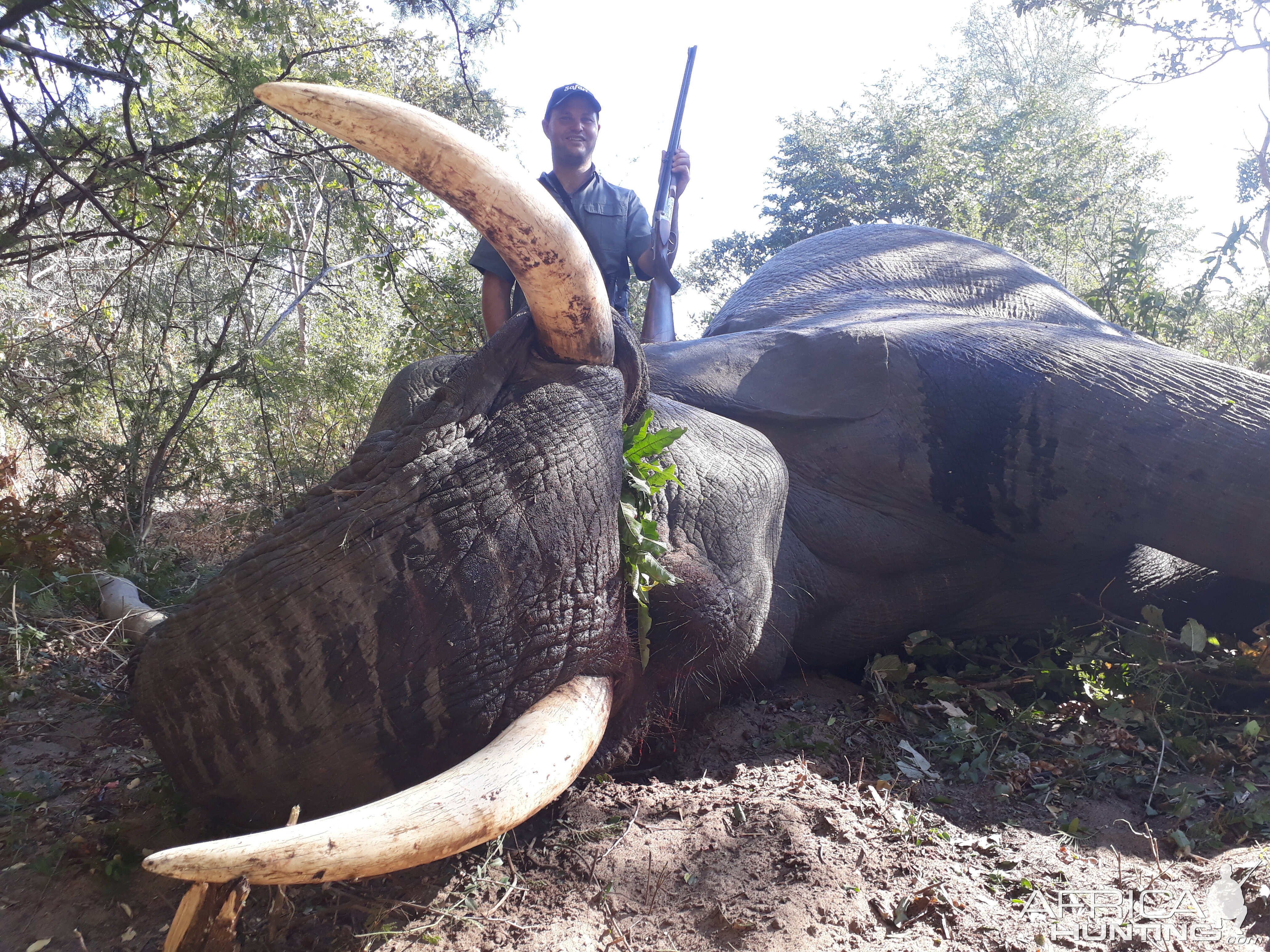 Namibia Hunting Elephant