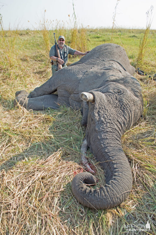 Namibia Hunting Elephant