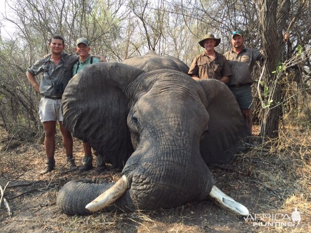 Namibia Hunting Elephant