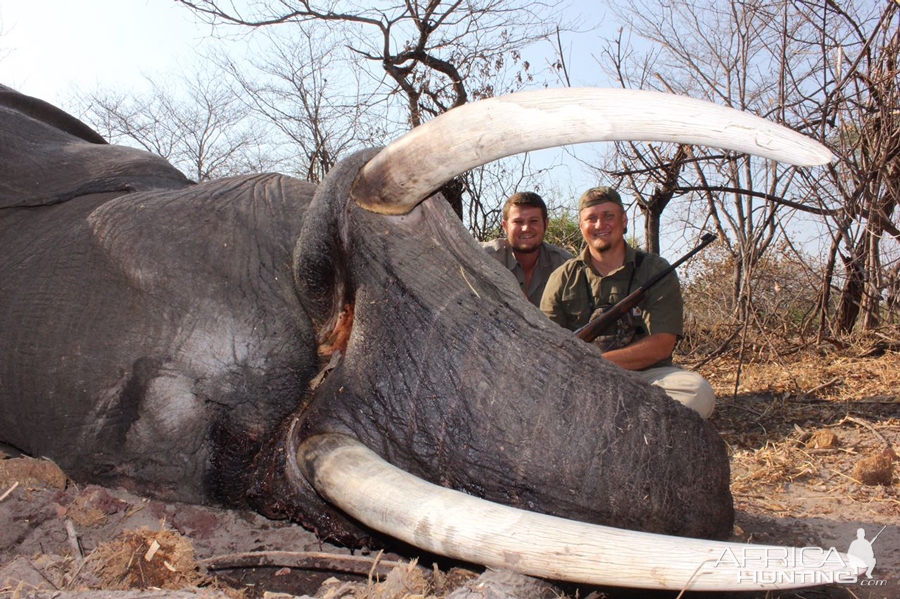 Namibia Hunting Elephant