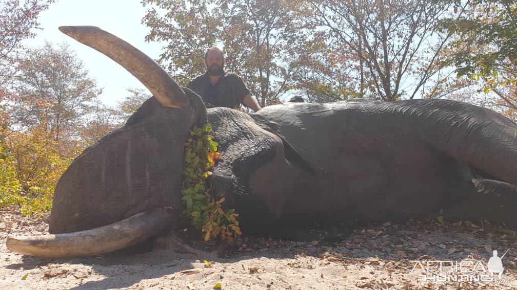 Namibia Hunting Elephant