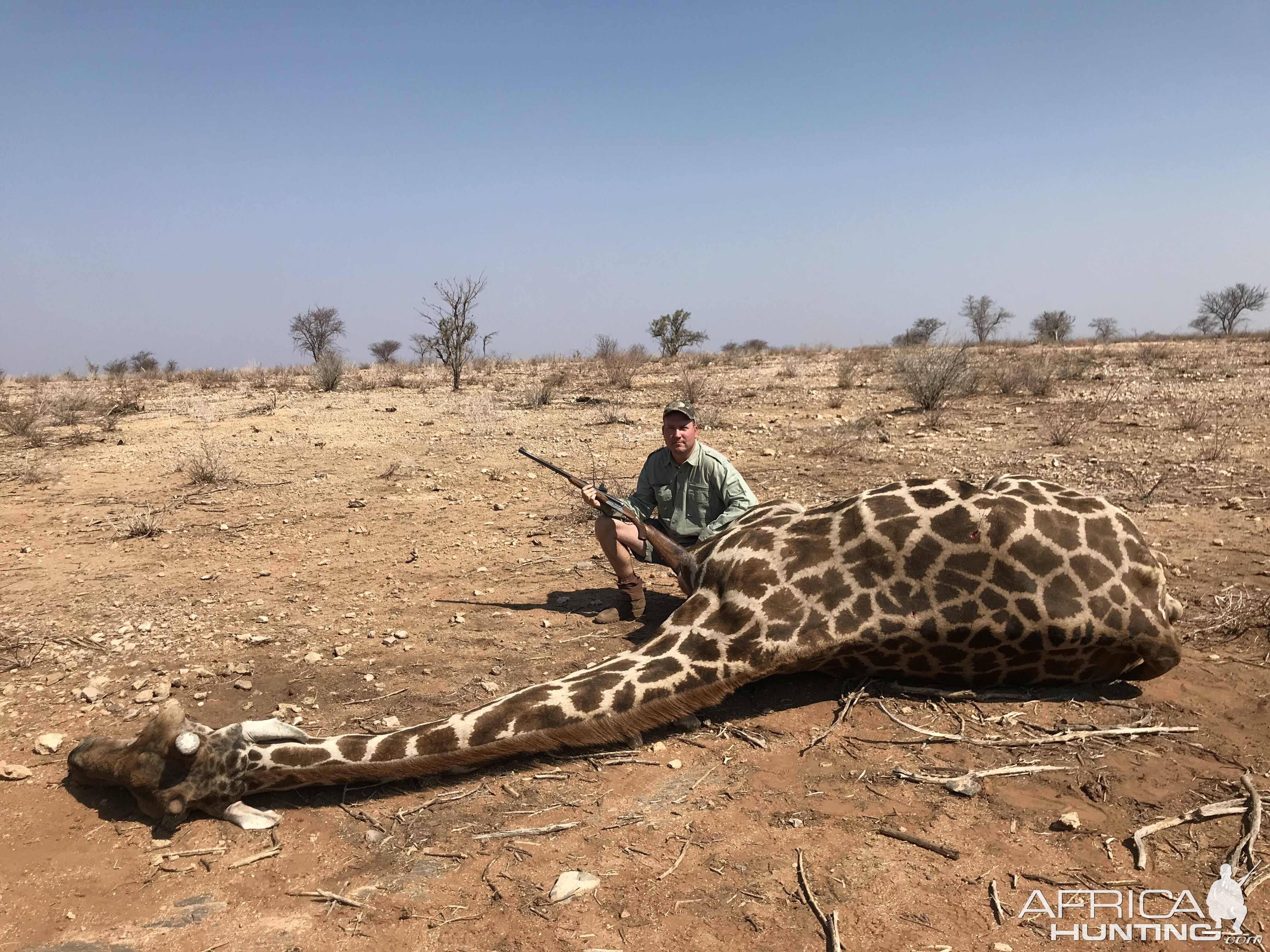 Namibia Hunting Giraffe