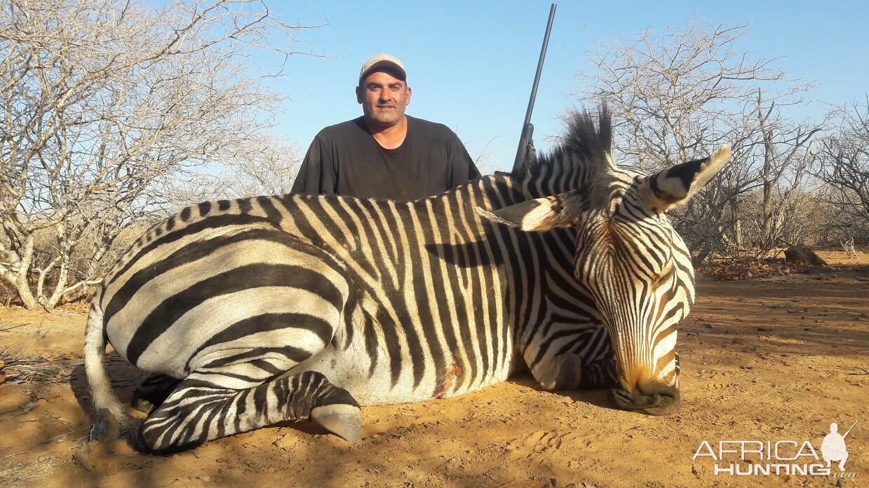 Namibia Hunting Hartmann’s Mountain Zebra