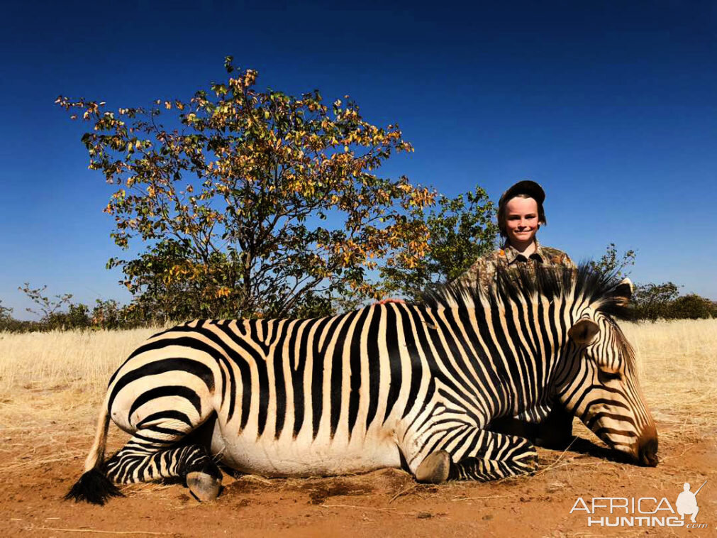 Namibia Hunting Hartmann's Mountain Zebra