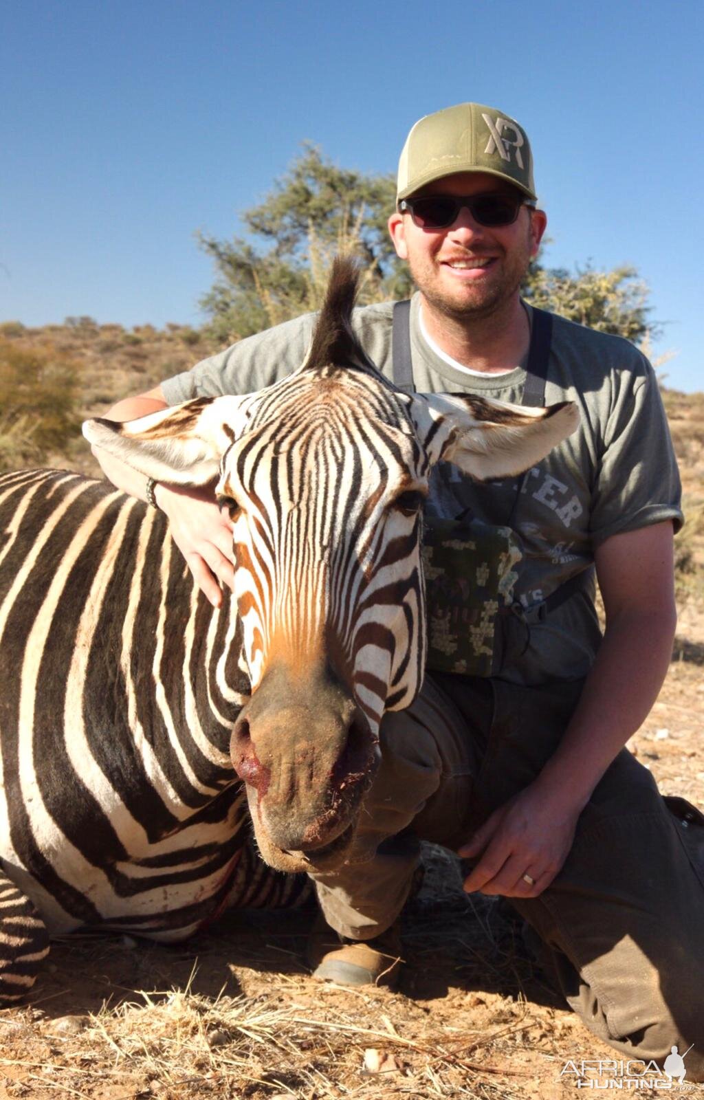 Namibia Hunting Hartmann's Mountain Zebra