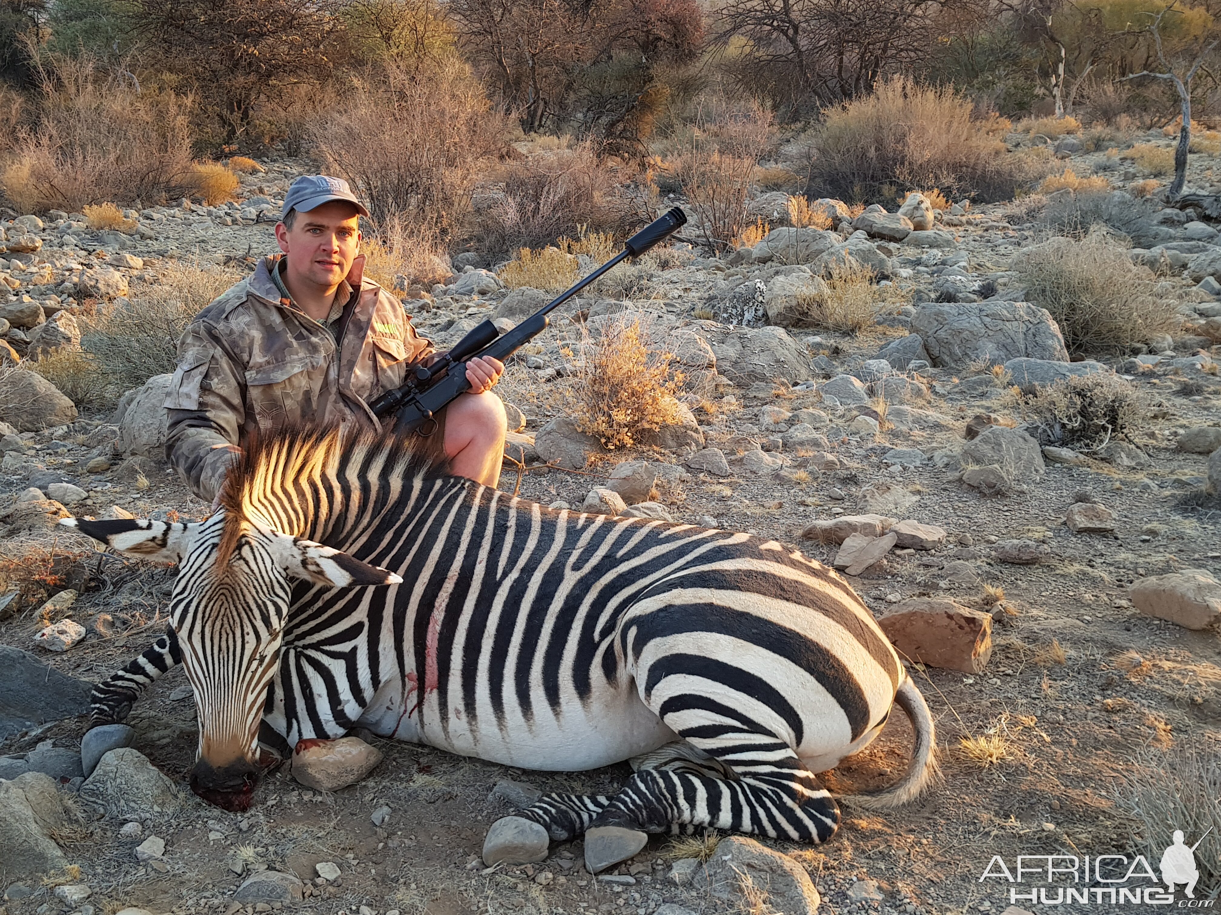 Namibia Hunting Hartmann's Mountain Zebra