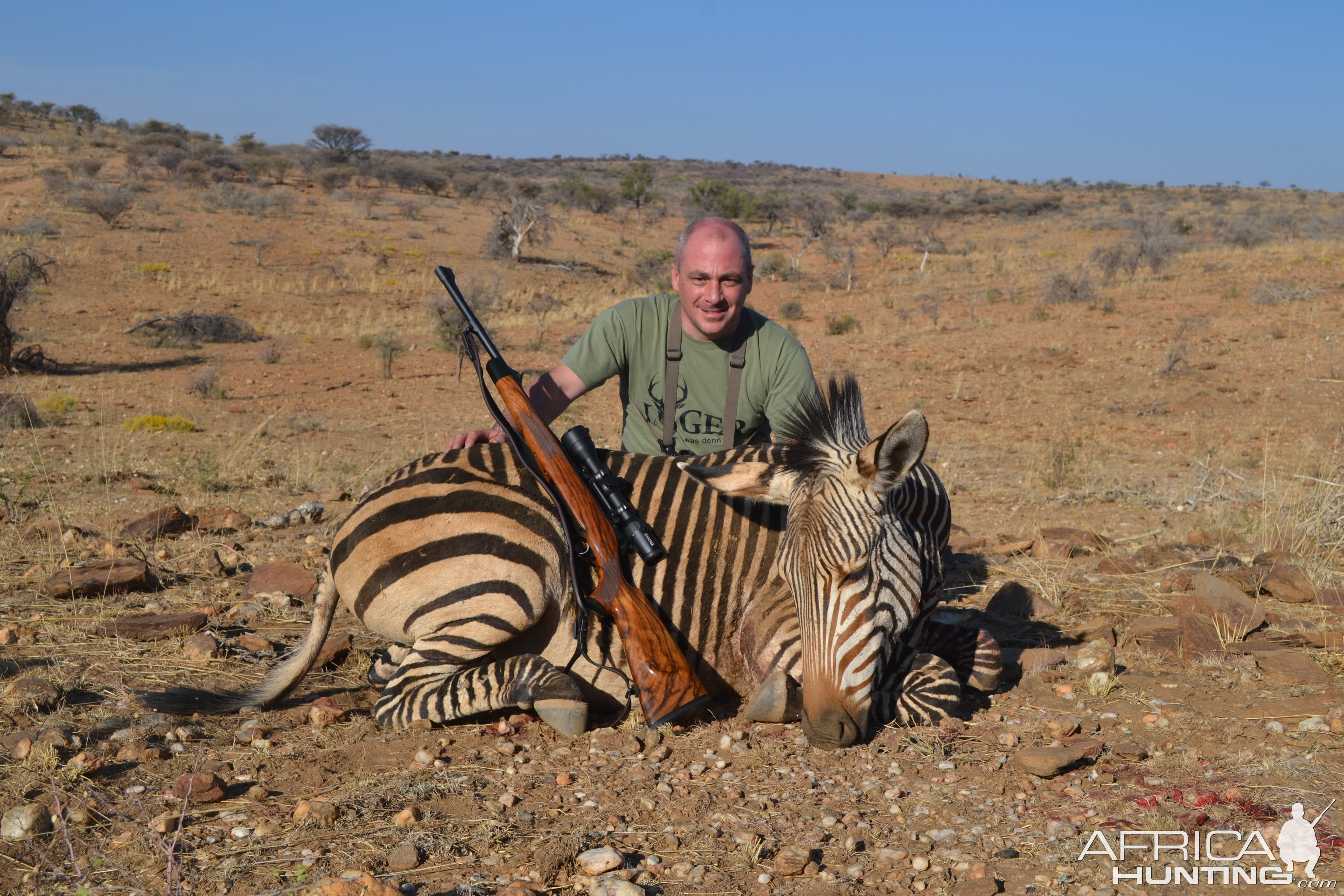 Namibia Hunting Hartmann's Mountain Zebra