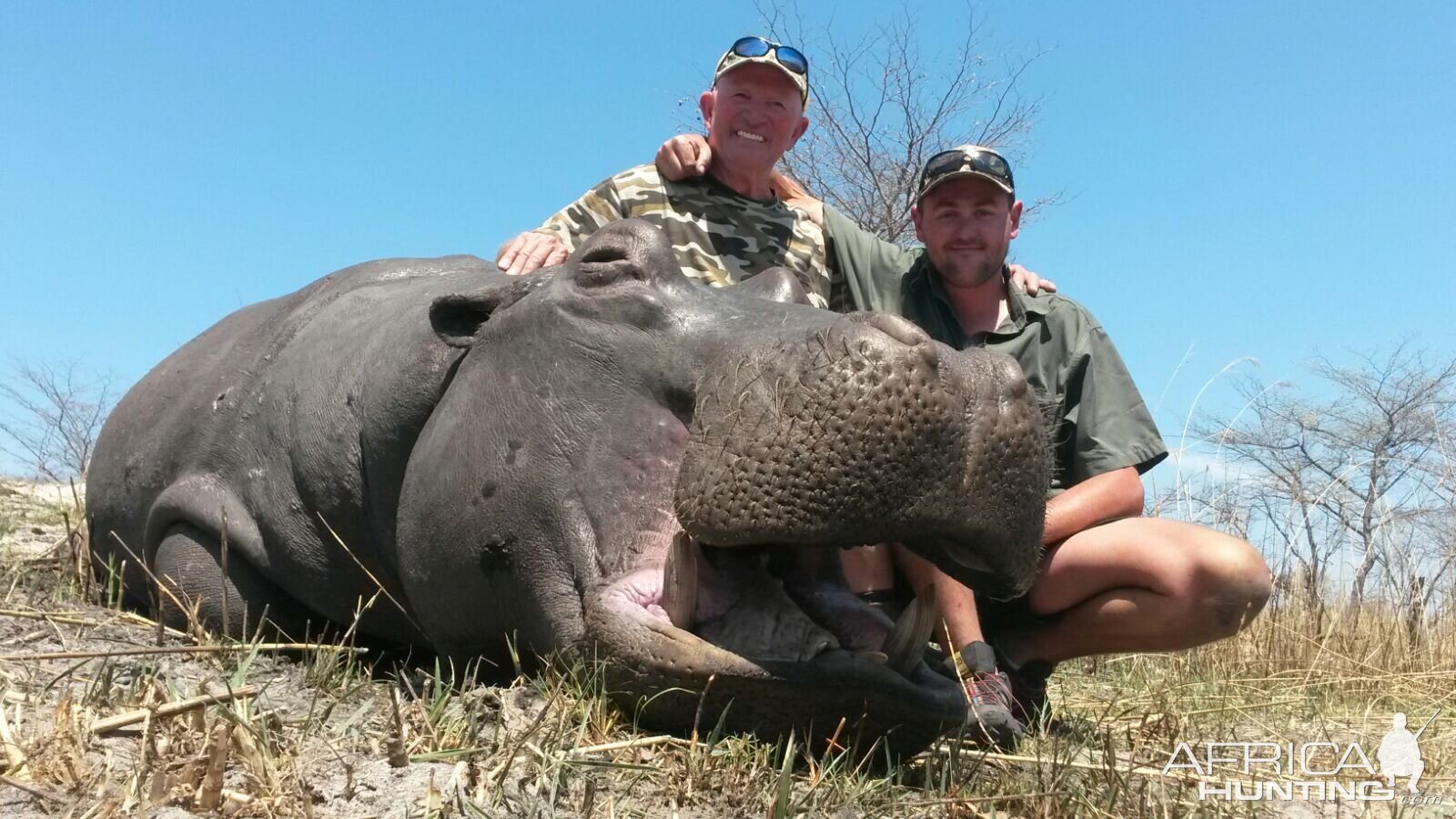 Namibia Hunting Hippo