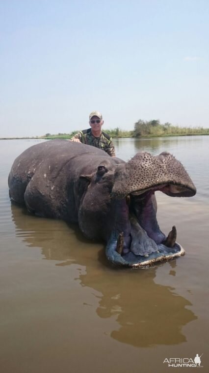 Namibia Hunting Hippo