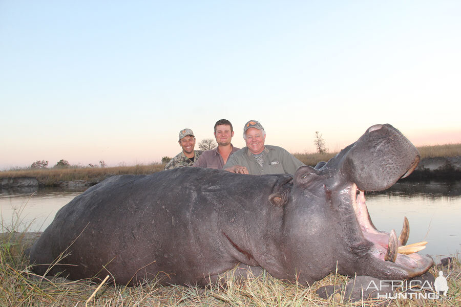 Namibia Hunting Hippo