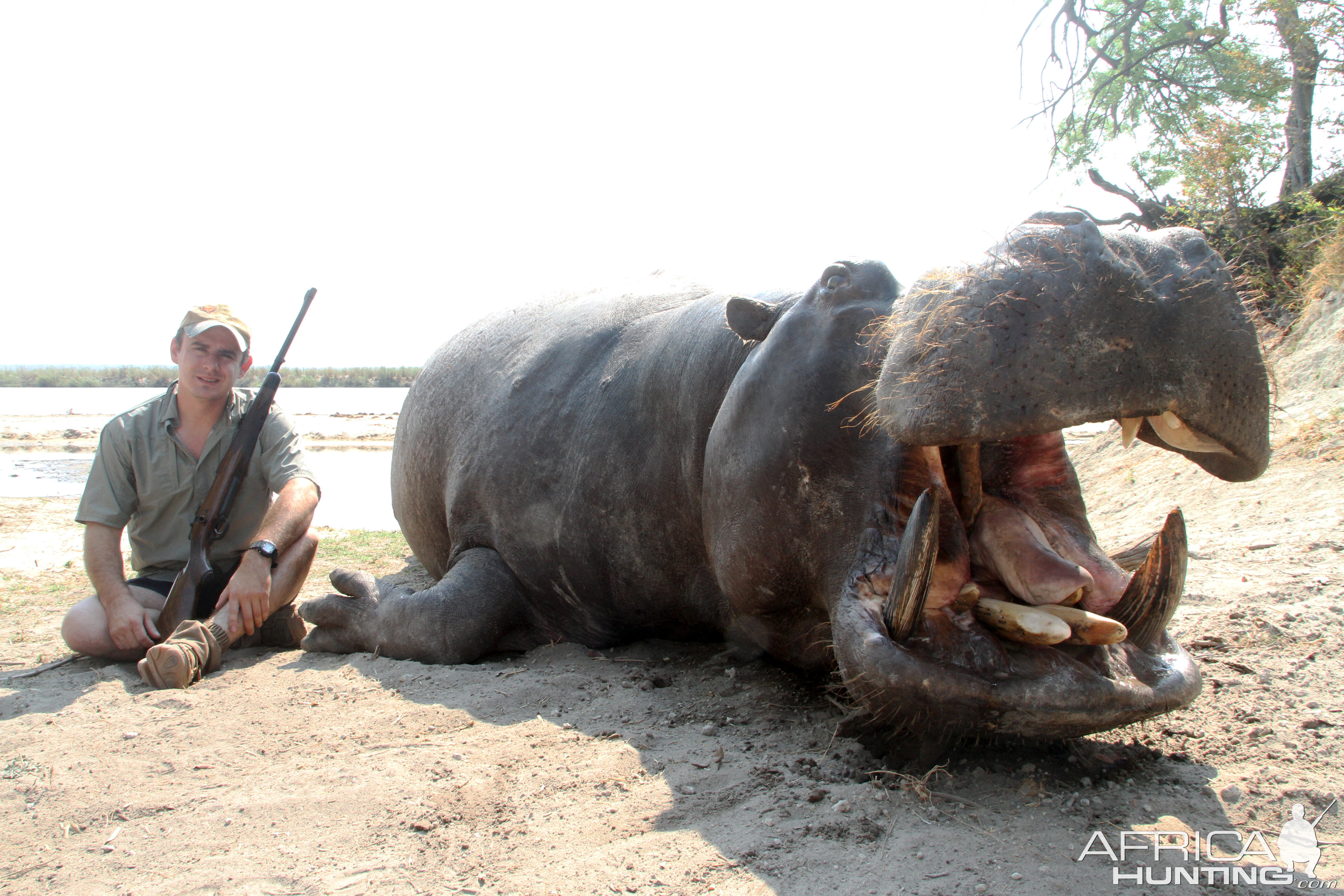 Namibia Hunting Hippo