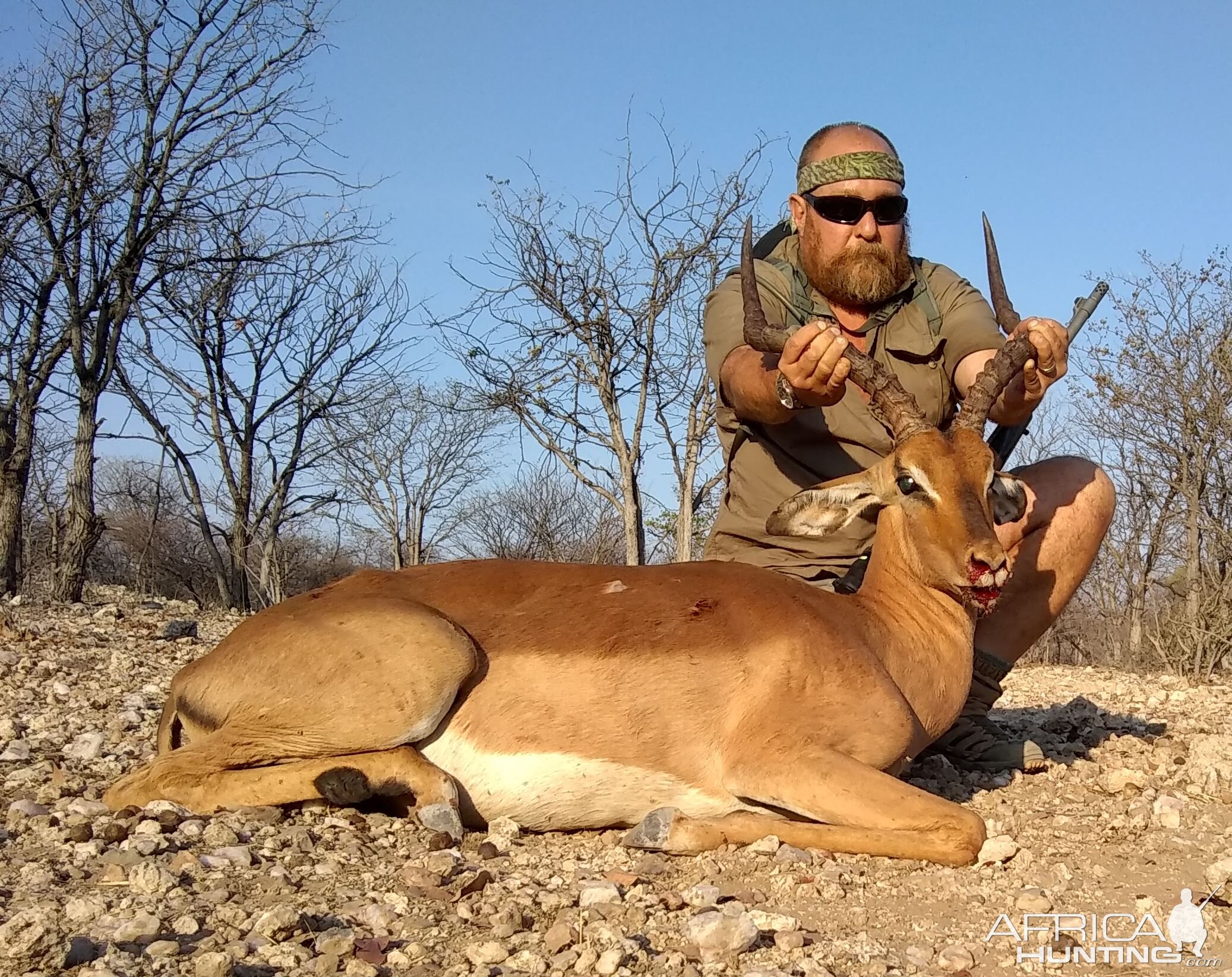 Namibia Hunting Impala