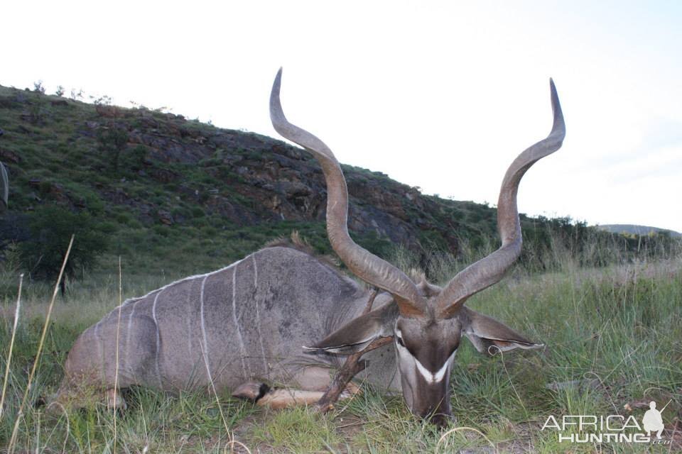 Namibia Hunting Kudu