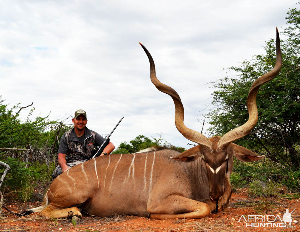 Namibia Hunting Kudu