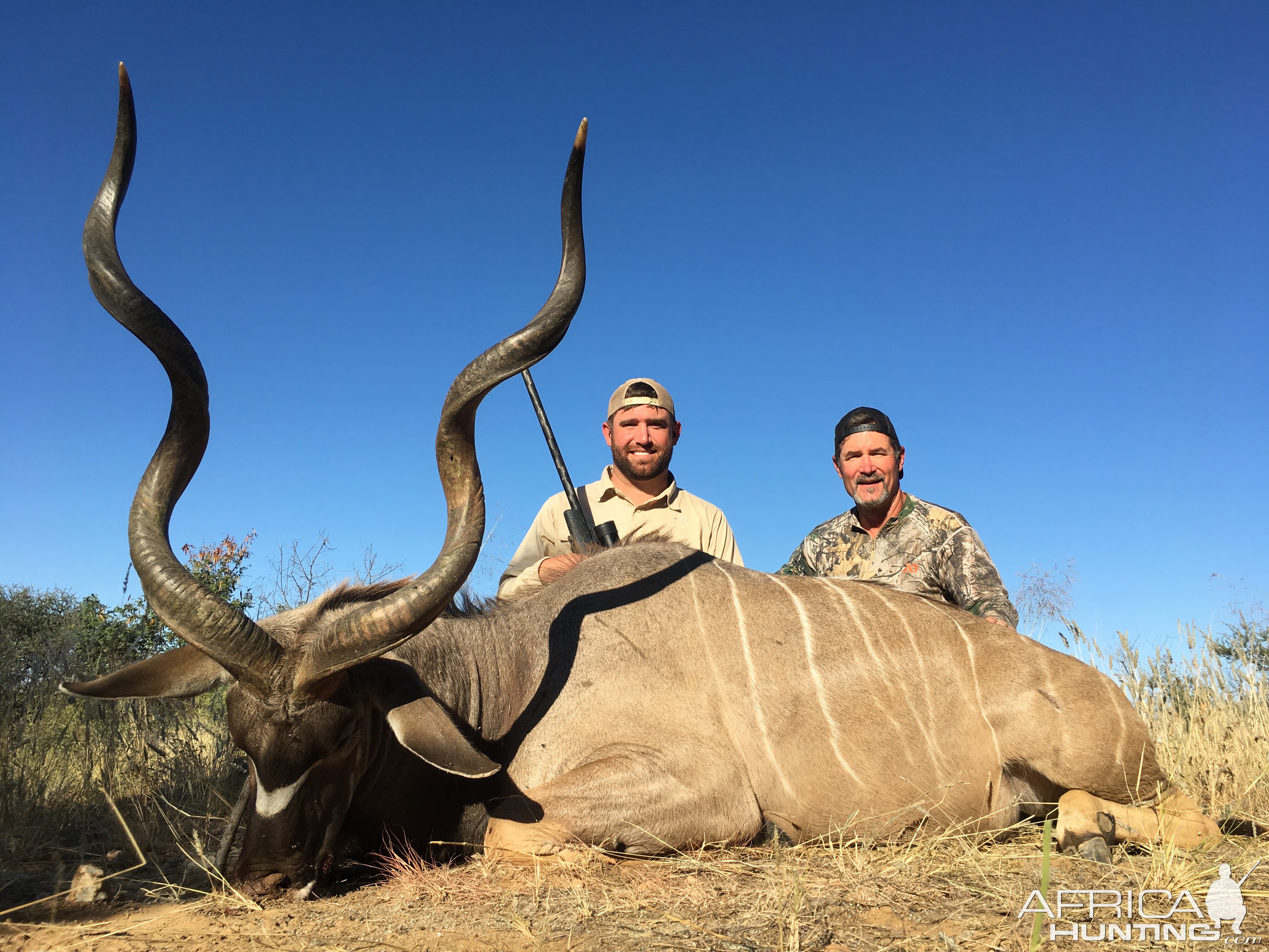 Namibia Hunting Kudu