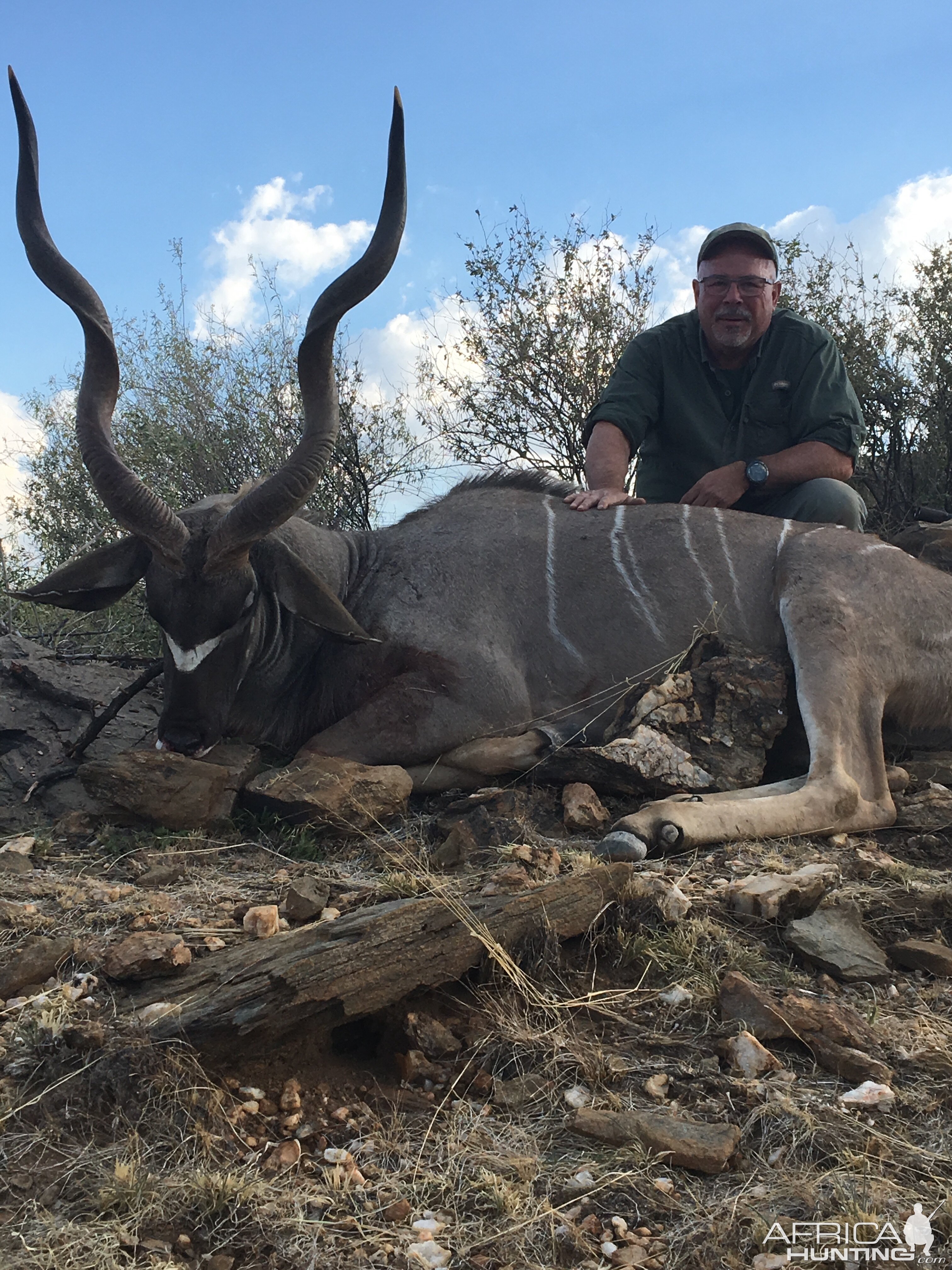 Namibia Hunting Kudu