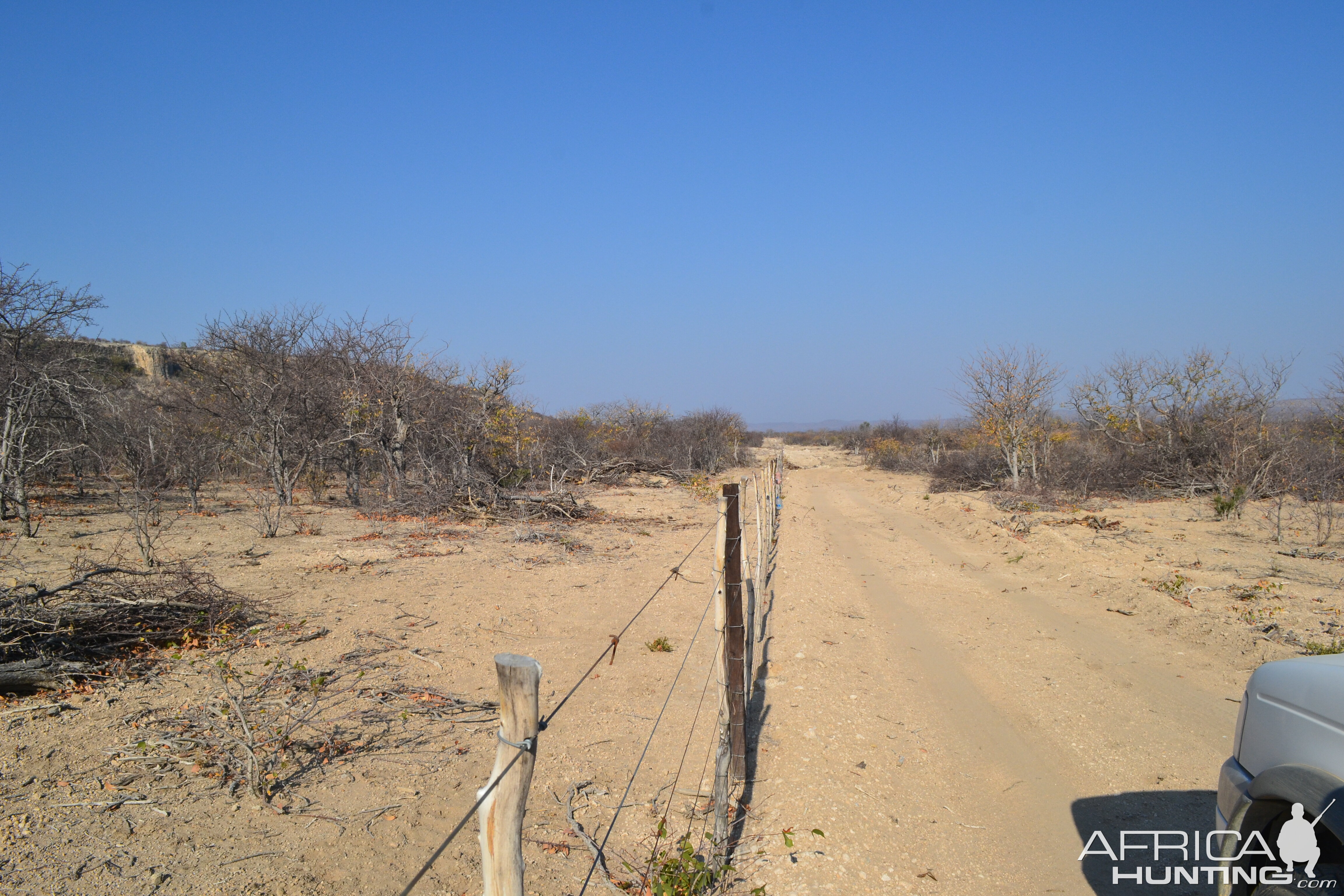 Namibia Hunting Kudu