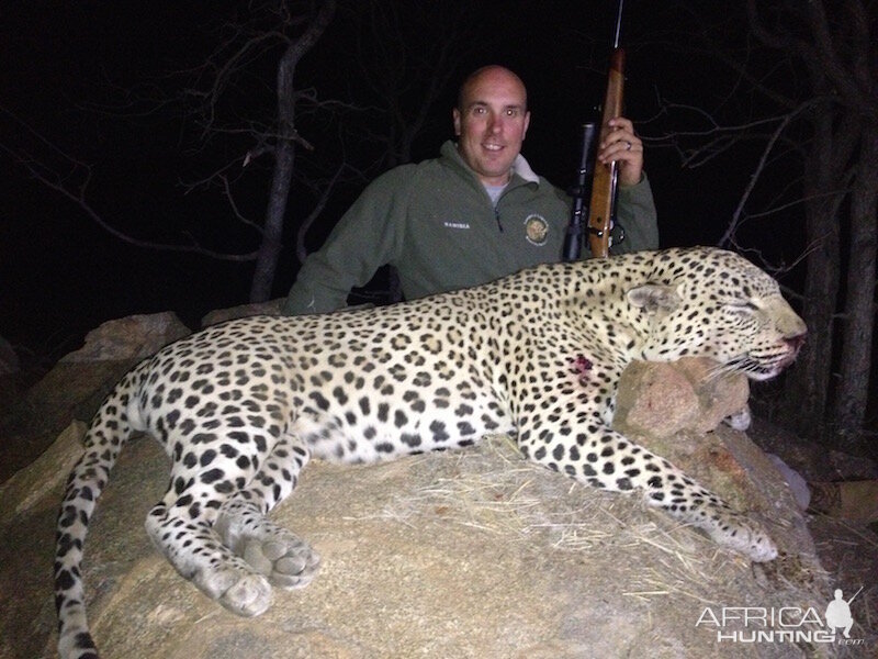 Namibia Hunting Leopard