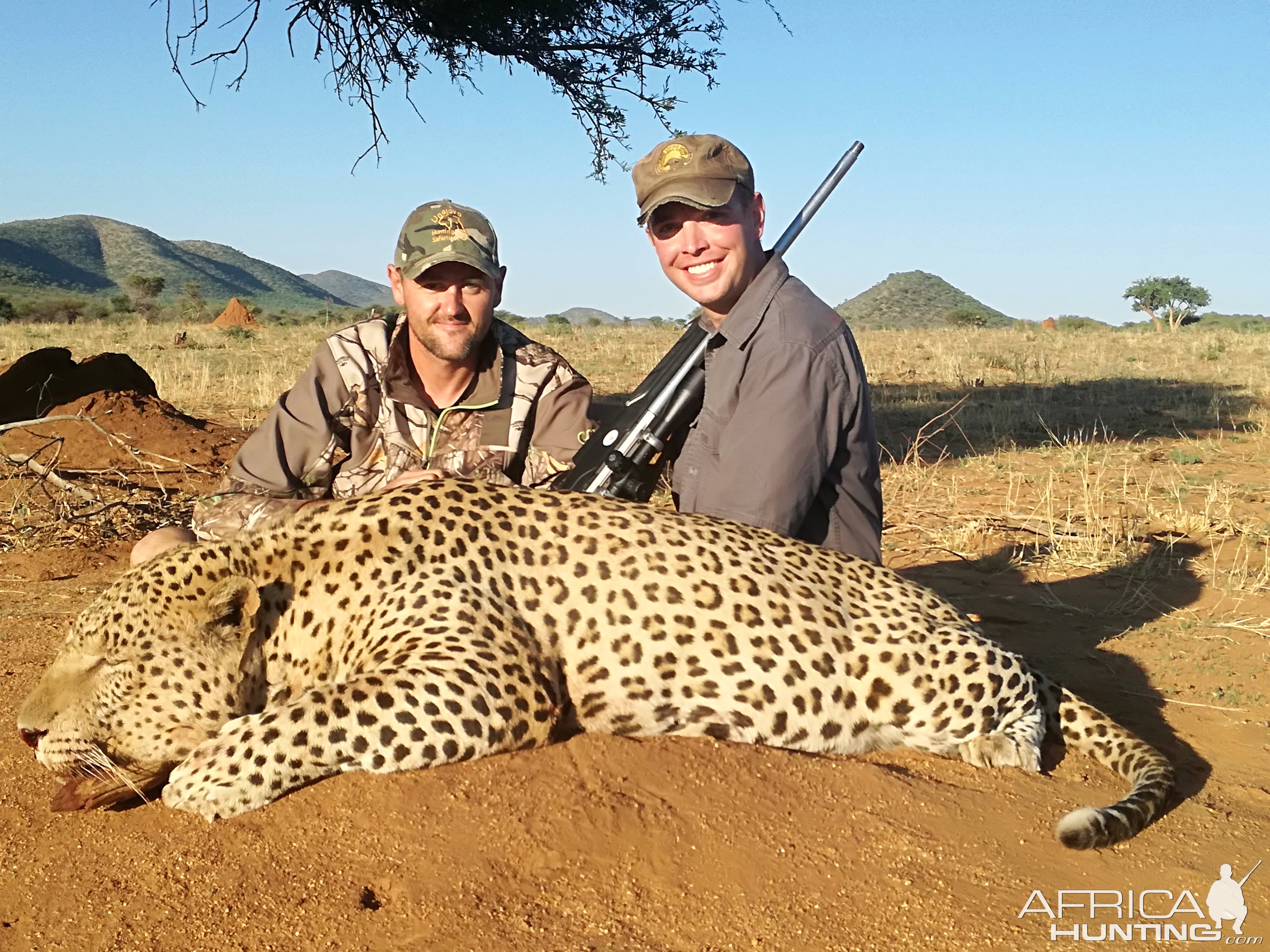 Namibia Hunting Leopard