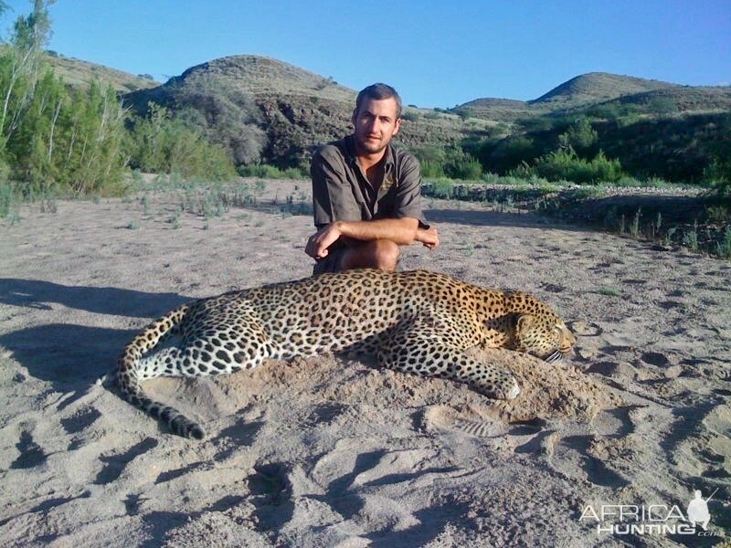 Namibia Hunting Leopard