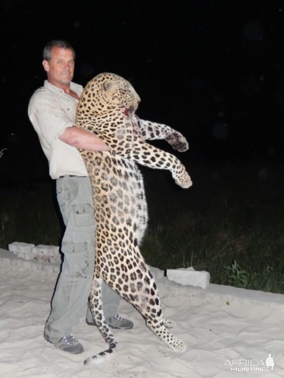 Namibia Hunting Leopard