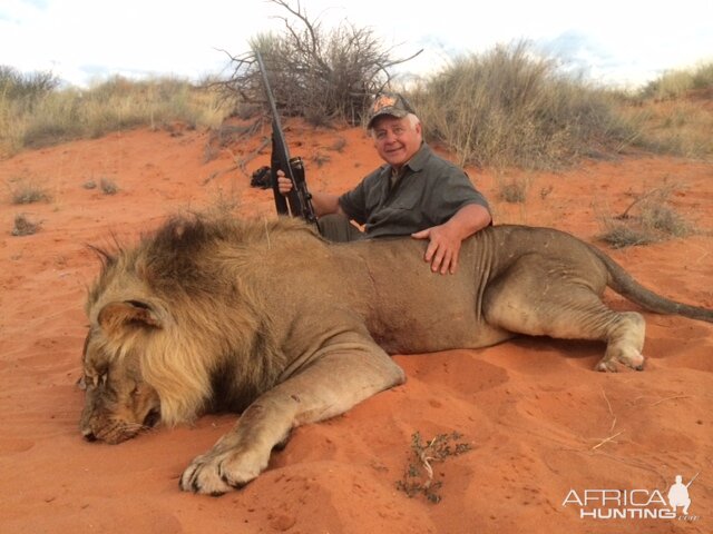 Namibia Hunting Lion