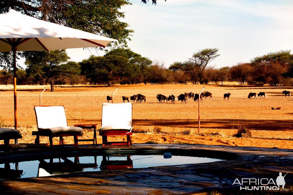 Namibia Hunting Lodge