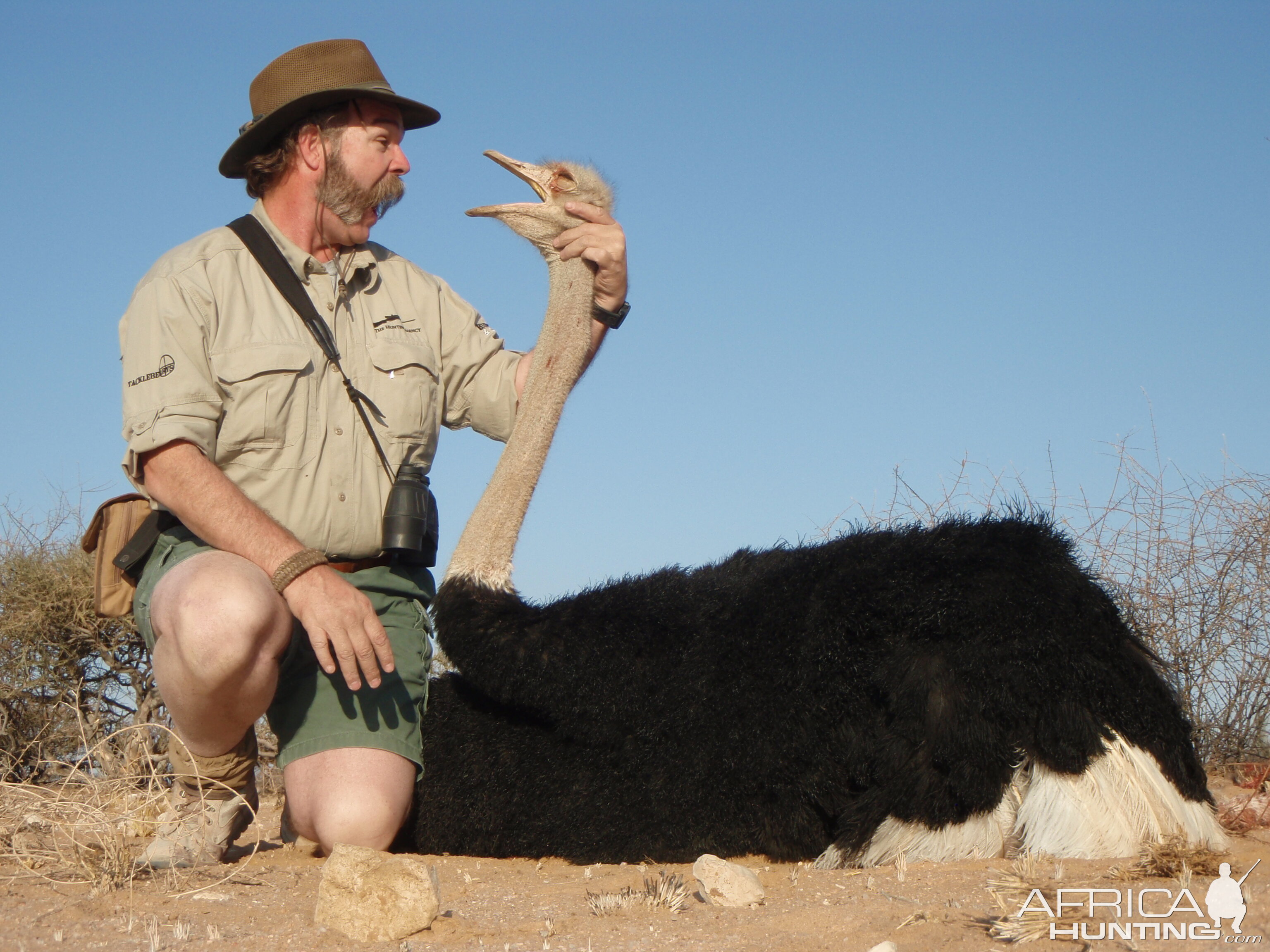 Namibia Hunting Ostrich